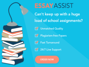 support essay assist